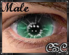 {CSC} GN Specter Eyes M