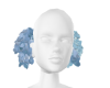 岸芷汀兰hair