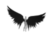 Nightshade Black Wings