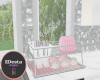 cust dish drainer