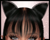 Kitty Black