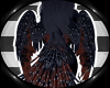 BlackOwl - Wings