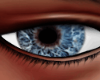 Detailed blue eyes