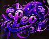 leo hoodie