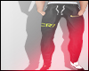 SPORT DERIVABLE