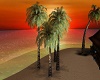 B3*Sunset Palms