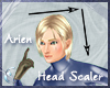 Arien Head Scaler