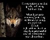Nature of the wolf