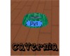 {p}Cavernia Pet Dish
