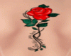 Tatto Rosa 2