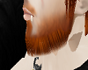 ginger auburn beard