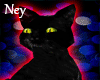 BlackCat - Pet