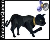 )o( Pagan Black Cat