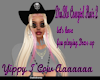 DiaBlo CowGirl Hat/justa