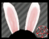|R|Animated Bunny Ears