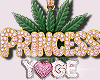 Ỿ | 🍀 princess