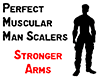 Stronger man all scalers