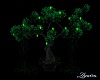 GREEN BONZI TREE