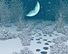 Cold Forest Photoroom