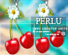 [P]Pool Cherry Earrings