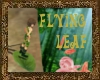 vatv flying leaf