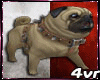 .:Bug Dog[Light yellow]: