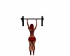 Pull Ups Bar