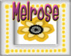 melrose wall decal