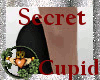 ~QI~Secret Cupid Shoes B