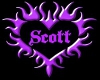 Scott Head Sign