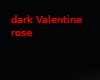 Dark Valentine Rose