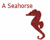 A Seahorse