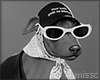 galgo italiano coffe