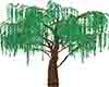Trees Trees