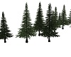 Add on Pine Trees