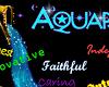 *T* Aquarius Sticker
