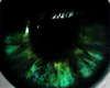 [Aen] Undead Reborn Eye