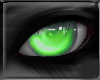 Eyes Green VT