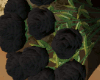 â½ Bouquet Roses [BlCK]