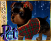 I~Yorkie*Cute Plaid Pet