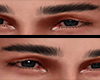 brows nature