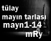 Mayin tarlasÄ±