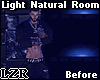 Light Natural Room