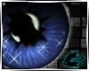 [fb]Sapphire Starry Eyed