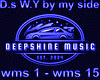 D.s W.Y by my side  mix