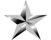 Custom Silver Star
