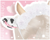 Ko ll Cow Ears