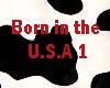 Born in the USA 1