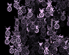 Particle Light Derivable