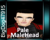 [BD]PaleMaleHead
